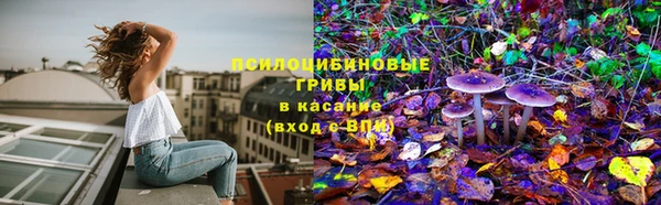 винт Надым
